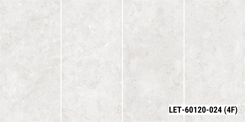 LET-60120-024